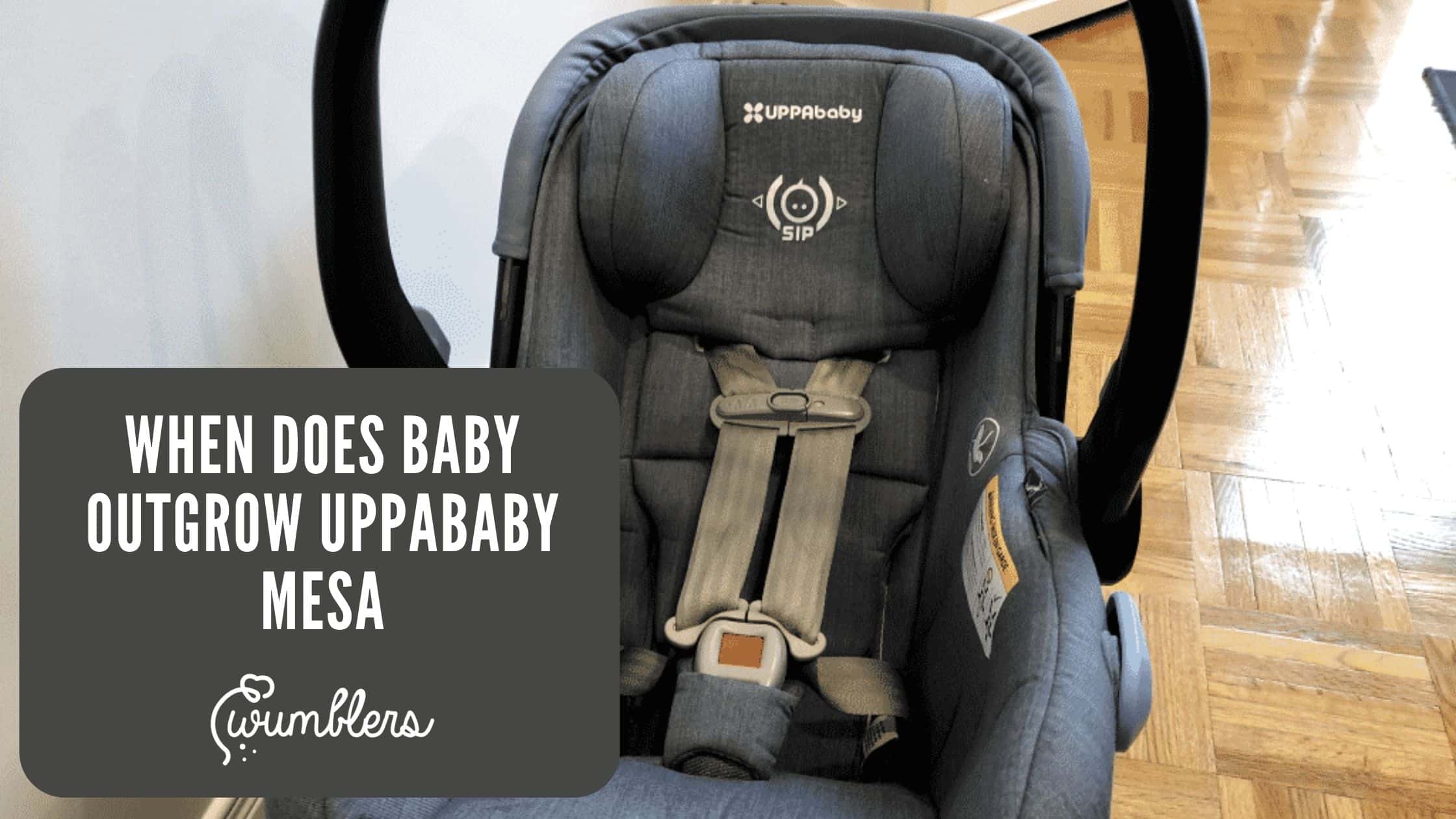 When Does Baby Outgrow Uppababy Mesa